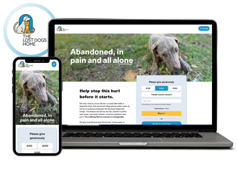 The Lost Dogs Home Campaign